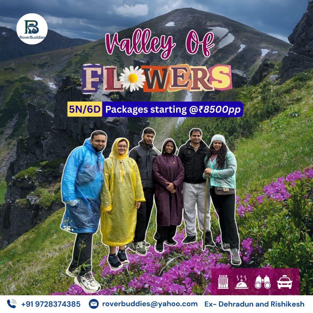 whatsapp image 2025 07 25 at 1.38.03 pm (1)